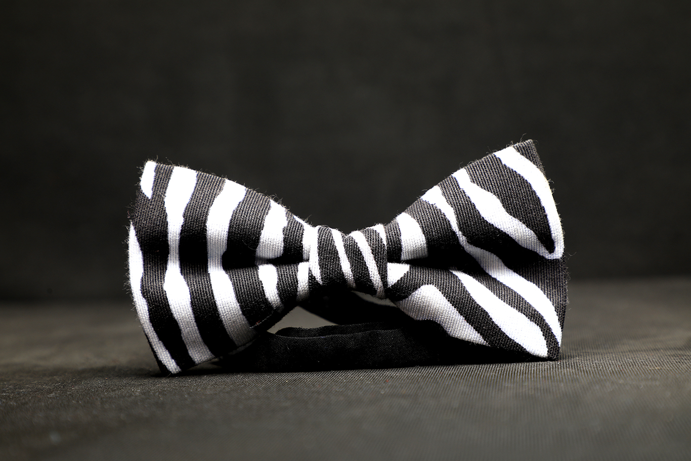 Zebra print bow tie Nairobi Kenya